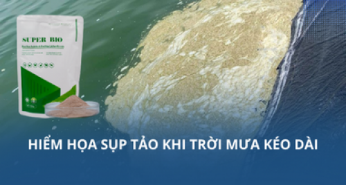 Hiểm họa sụp tảo khi trời mưa kéo dài